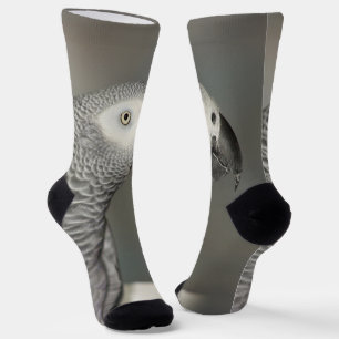 Stently African Gray Parrot Socken