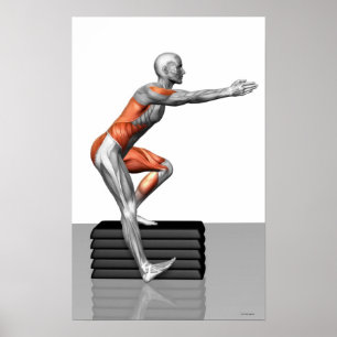 Step-Down-Übungen Poster