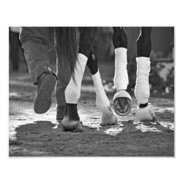 Step Nicely Fotodruck (Vorne)