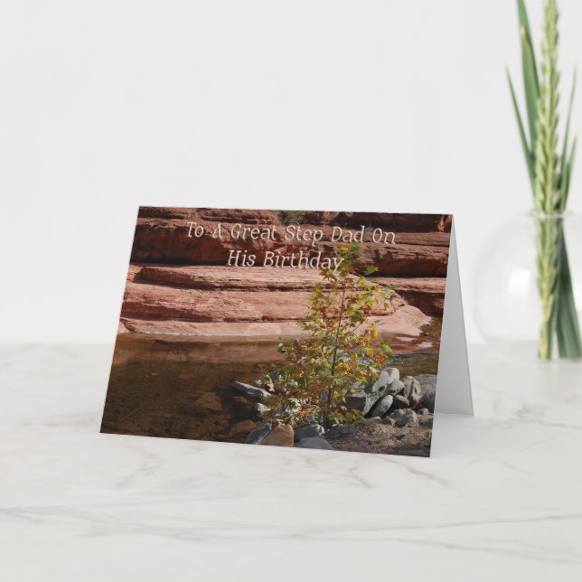 Step Vater Birthday Card Karte (Vorderseite)