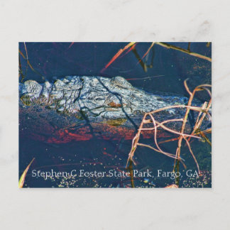 Stephen C Foster Staat Park, Gator Postkarte