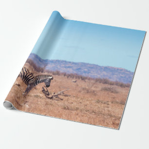 Steppenzebra im Kruger-Nationalpark, Südafrika Geschenkpapier