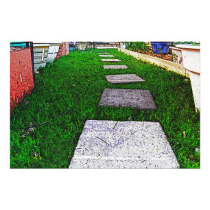 Stepping Stones by Shirley Taylor Fotodruck