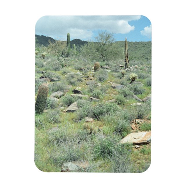 Steppsteine dekoratives Wüstenmagnet des Westerns Magnet (Vertikal)
