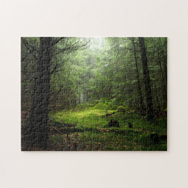 Sterious Wald Puzzle (Horizontal)
