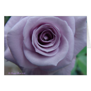 Sterlingsilber-Rosen-Karten-Entwurf