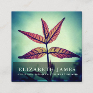 Stern-Blatt-Natur Tibers blaue orange Quadratische Visitenkarte