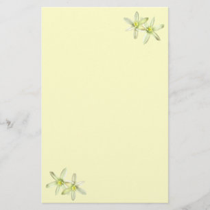 Stern der Bethlehem-Stationerie Briefpapier