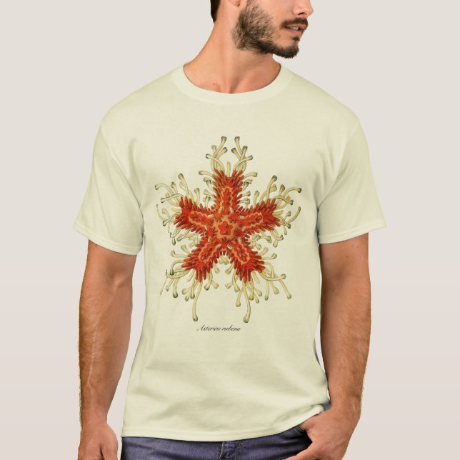 Stern-Fische T-Shirt (Vorderseite)