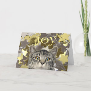 Stern-Kätzchen Feiertagskarte