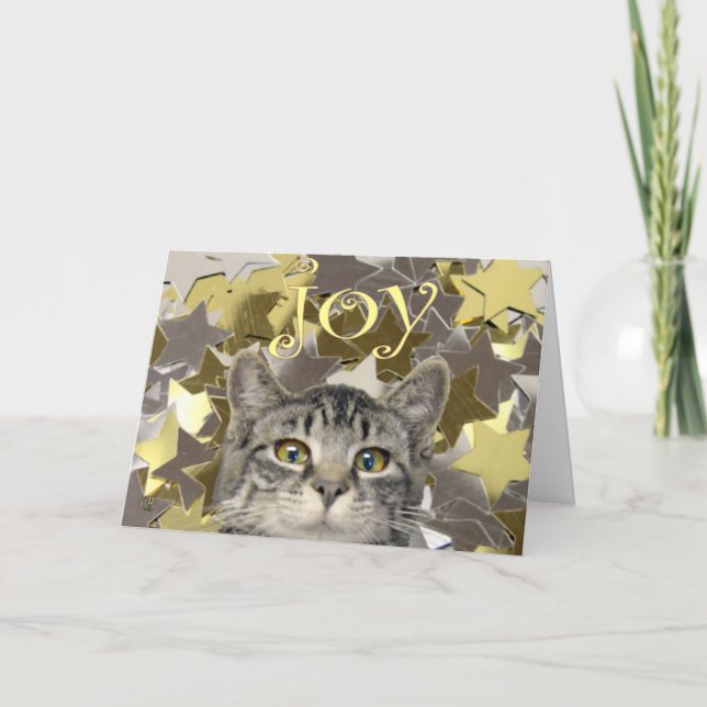 Stern-Kätzchen Feiertagskarte (Vorderseite)