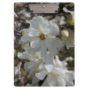 Stern-Magnolie Blüten Klemmbrett