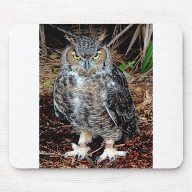 Stern Owl Mousepad (Vorne)