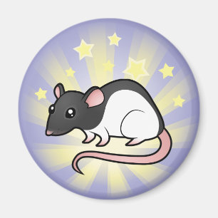 Stern-Ratte Magnet