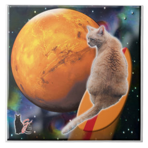 Stern-Surfer-Katze Chili Pepper Kachel