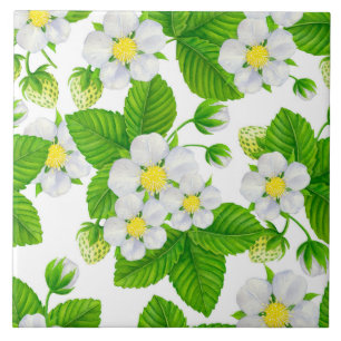 Sternbeergarten 2 fliese