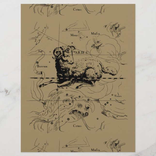 Sternbild Aries Hevelius 1690 (Vorderseite)