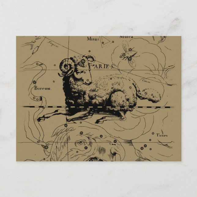 Sternbild Aries Hevelius 1690 Postkarte (Vorderseite)