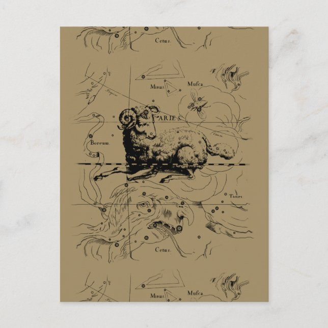 Sternbild Aries Hevelius 1690 Postkarte (Vorderseite)