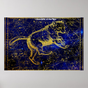 Sternbild Großer Bär Poster