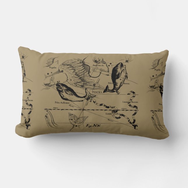 Sternbild Hevelius 1690 Gravieren Lendenkissen (Vorderseite)