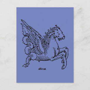 Sternbild: Pegasus (Begriffsklärung) Postkarte