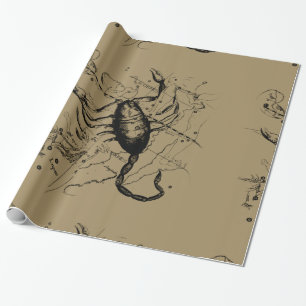 Sternbild Skorpion Hevelius circa 1690 Vintage Geschenkpapier