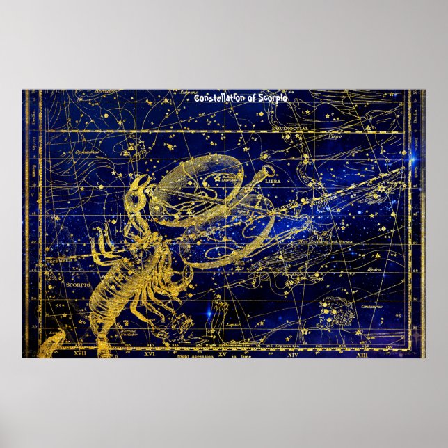 Sternbild Skorpion Poster (Vorne)