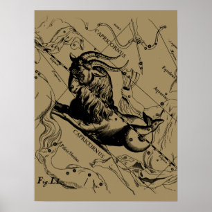 Sternbild Steinbock, Vintage-Stich von Hevelius Poster