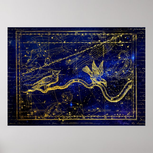 Sternbildposter des Tierkreises Poster (Vorne)