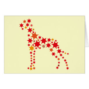 Sternchen Dogge