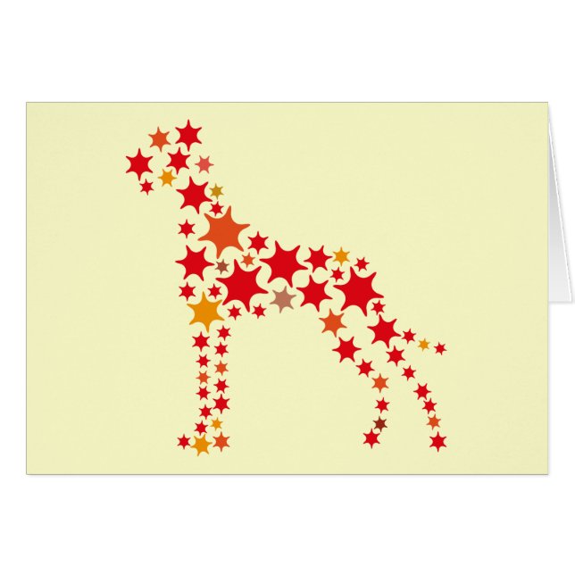 Sternchen Dogge (Vorderseite (Horizontal))