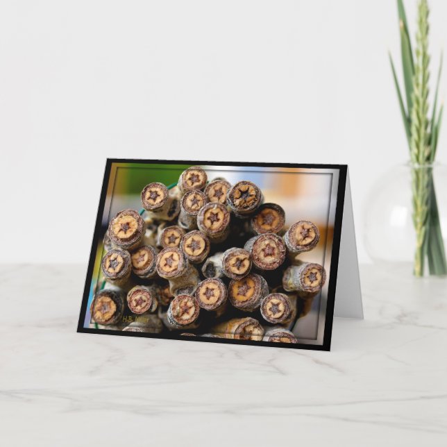 Sterne entlang der Rio Grande Baumwollbaumen Karte (Vorderseite)