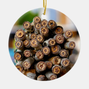 Sterne entlang der Rio Grande Baumwollbaumen Keramik Ornament