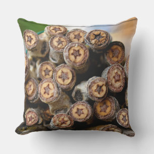 Sterne entlang der Rio Grande Baumwollbaumen Kissen