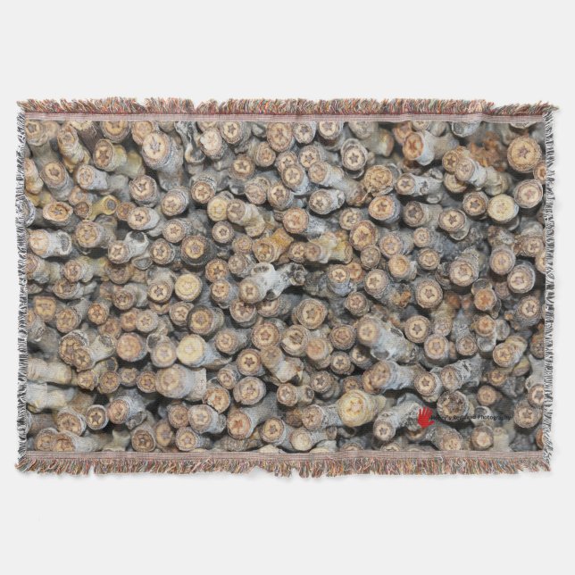 Sterne entlang der Rio Grande Cotton Wood Trees Ta Decke (Vorderseite)