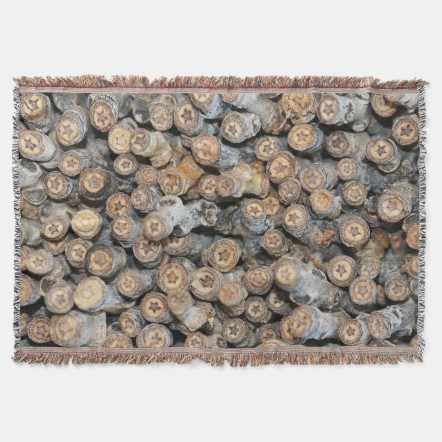 Sterne entlang der Rio Grande Cotton Wood Trees Ta Decke (Vorderseite)