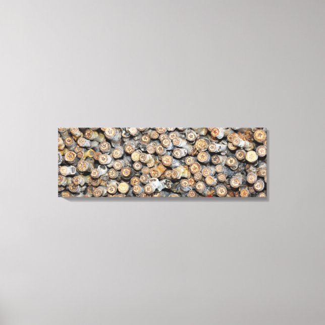 Sterne entlang der Rio Grande Cotton Wood Trees Ta Leinwanddruck (Vorderseite)