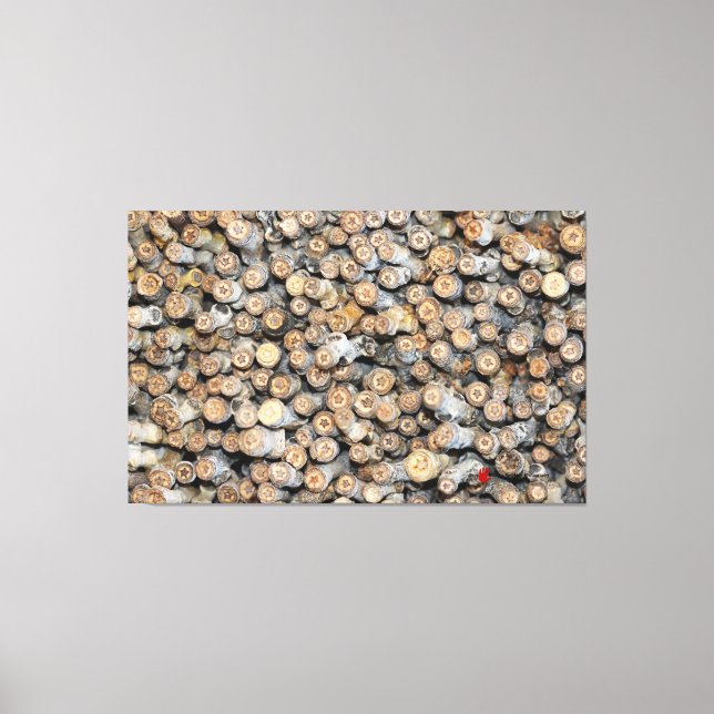 Sterne entlang der Rio Grande Cotton Wood Trees Ta Leinwanddruck (Vorderseite)