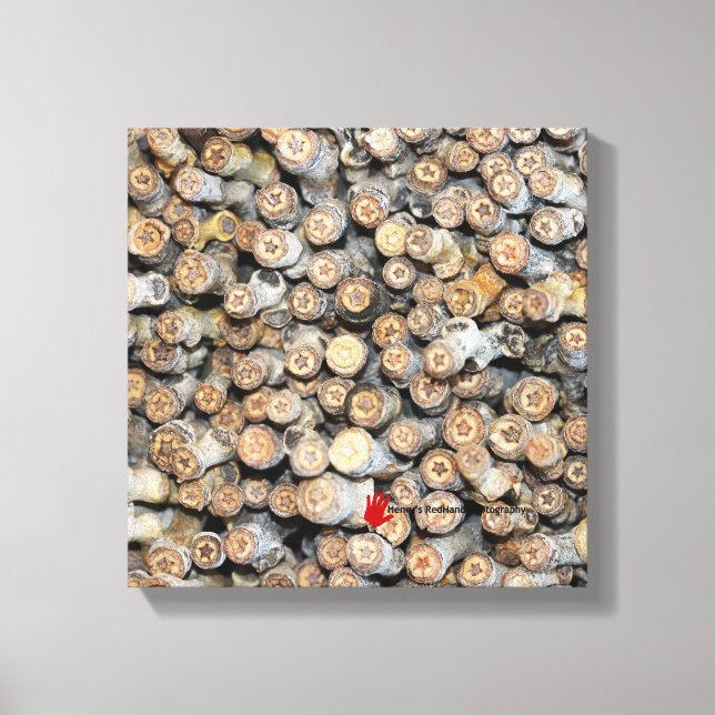 Sterne entlang der Rio Grande Cotton Wood Trees Ta Leinwanddruck (Vorderseite)