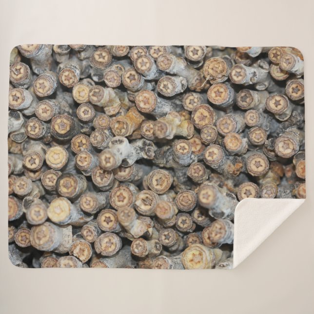 Sterne entlang der Rio Grande Cotton Wood Trees Ta Sherpadecke (Vorderseite (Horizontal))