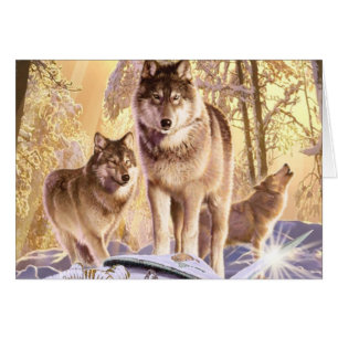 "Sterne unter Schnee "