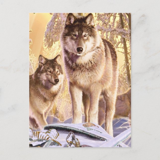 "Sterne unter Schnee" Postkarte (Vorderseite)