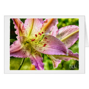 Sternengucker-Lilien-Blume/Florale Aquarell-Kunst/