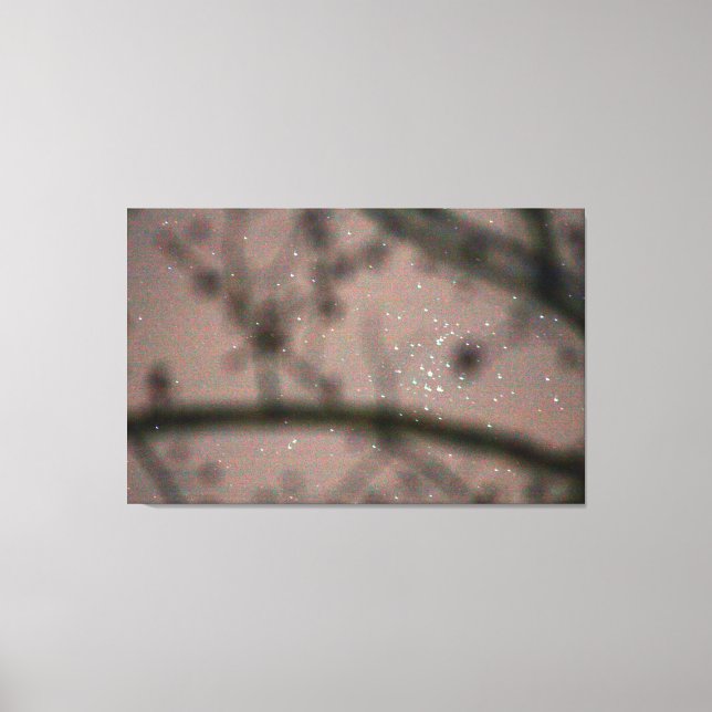 Sternenhimmel durch Baumzweige Leinwanddruck (Vorderseite)