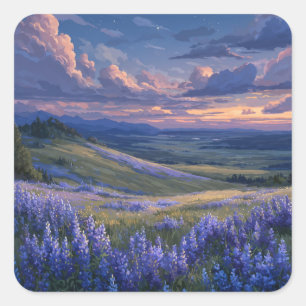 Sternenhimmel über violettem Lavendelfeld Quadratischer Aufkleber