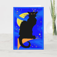 Sternenklare Nachtschwarze Katze