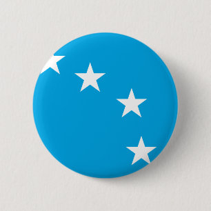 Sternenklarer Pflug - irische sozialistische Button