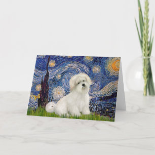 Sternennacht - Coton de Tulear 7 Karte
