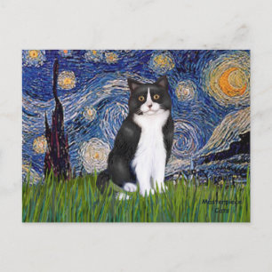Sternennacht - Schwarz-Weiß-Katze Postkarte